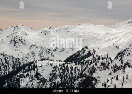 Schöne verschneite Berge und Bäume am Mt. Baker Ski Resort, Washington, USA Stockfoto
