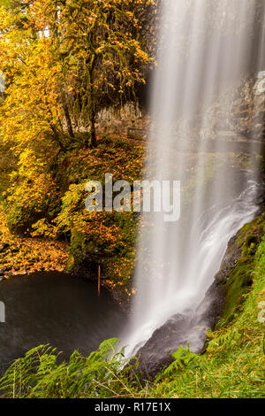 Seitliche Ansicht von Süden fällt im Herbst fließen, Silver Falls State Park, Florida, USA Stockfoto