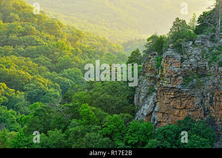 Felsen und Wald mit Blick auf Cedar Creek Canyon, Petit Jean State Park, Arkansas, USA Stockfoto