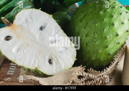 Auch Soursop graviola, guyabano ist die Frucht der Annona muricata, eine Breitblättrige, blühende, immergrüner Baum Stockfoto