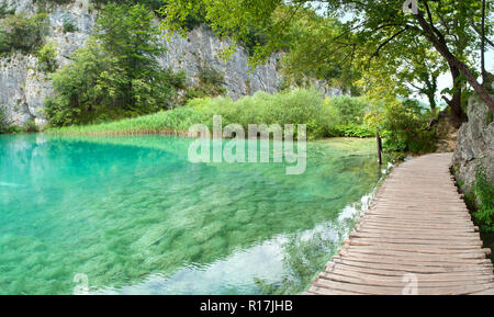 Transparente türkisfarbenen See Gavanovac unter grünen Bäumen und hohe, weiße Felsen im Sommer. Nationalpark Plitvicer Seen, Kroatien Stockfoto