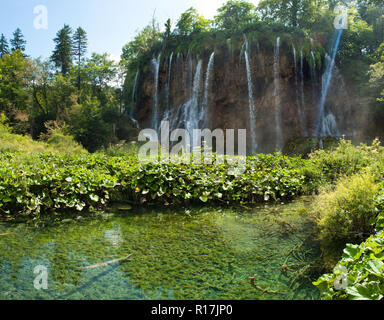 Galovacki buk Wasserfall im Sommer. Ein Teich mit Wasser unter den grünen Pflanzen und Sträuchern. Nationalpark Plitvicer Seen, Kroatien Stockfoto