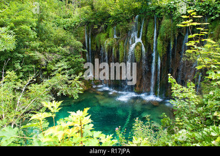 Wasserfall in der Nähe einen kleinen Teich mit transparenten atemberaubende smaragdgrünen Wasser unter grünem Laub. Nationalpark Plitvicer Seen, Kroatien Stockfoto