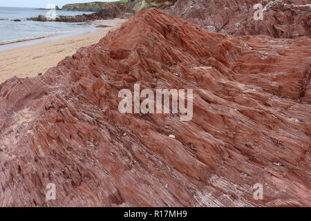 Schluffig-Gebändert Schiefer von Meadfoot Betten am nördlichen Ende des South Milton und Thurlestone Sands, South Devon Stockfoto