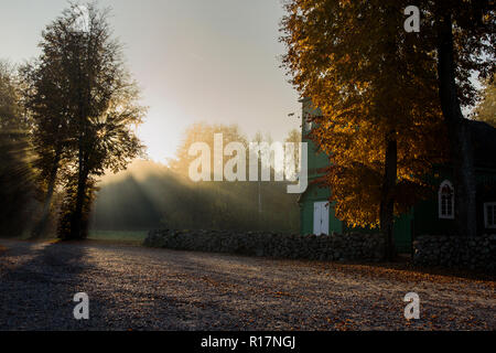 Muslimischer Friedhof, Kruszyniany, Grabstätte, Herbst, Bäume, Frieden, Ort der Anbetung, Gebet, Grabsteine Stockfoto