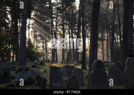 Muslimischer Friedhof, Kruszyniany, Grabstätte, Herbst, Bäume, Frieden, Ort der Anbetung, Gebet, Grabsteine Stockfoto