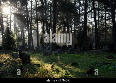 Muslimischer Friedhof, Kruszyniany, Grabstätte, Herbst, Bäume, Frieden, Ort der Anbetung, Gebet, Grabsteine Stockfoto