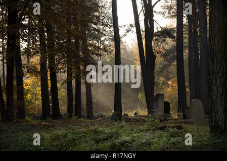 Muslimischer Friedhof, Kruszyniany, Grabstätte, Herbst, Bäume, Frieden, Ort der Anbetung, Gebet, Grabsteine Stockfoto