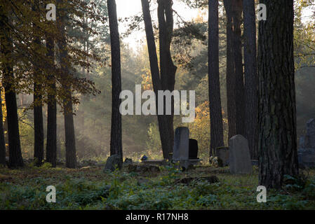 Muslimischer Friedhof, Kruszyniany, Grabstätte, Herbst, Bäume, Frieden, Ort der Anbetung, Gebet, Grabsteine Stockfoto