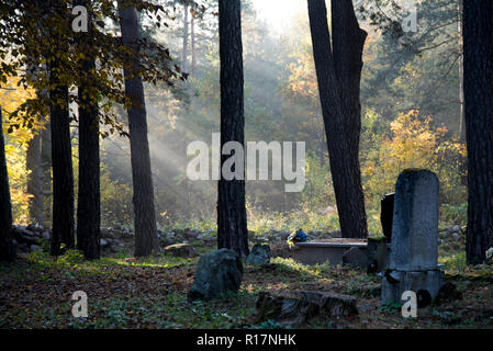 Muslimischer Friedhof, Kruszyniany, Grabstätte, Herbst, Bäume, Frieden, Ort der Anbetung, Gebet, Grabsteine Stockfoto