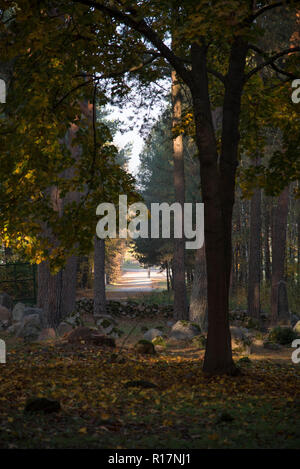 Muslimischer Friedhof, Kruszyniany, Grabstätte, Herbst, Bäume, Frieden, Ort der Anbetung, Gebet, Grabsteine Stockfoto