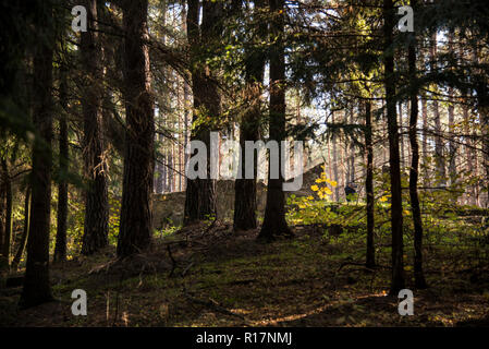 Ort der Macht, Ökumene, Wald, Quelle des Glaubens, Stockfoto