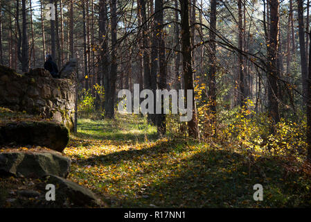 Ort der Macht, Ökumene, Wald, Quelle des Glaubens, Stockfoto