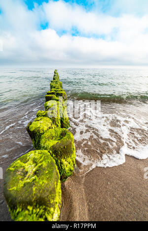 Landschaft, alte Mole, bewachsen mit Algen Stockfoto