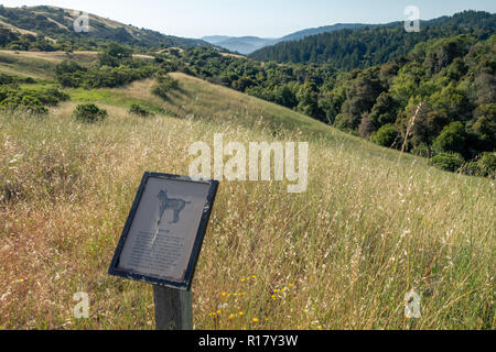 Blick auf Monte Bello Open Space Preserve, Stevens Creek, San Francisco Bay Area, CA Stockfoto