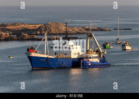 Segeln Atlantik rund um Lüderitz an der Skelettküste Namibias Stockfoto