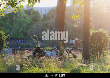 Ein Mann ein Nickerchen in den Wald nehmen im Sommer mit seinem Fahrrad Stockfoto