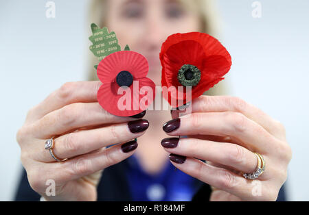 Ein Royal British Legion Mitarbeiter hält eine Gegenwart poppy (links) neben einem Poppy, die geglaubt werden, um Zeit vor dem Zweiten Weltkrieg, nach einem Feld der Mohnblumen wurden in einem alten Koffer in Cardiff eine Woche vor dem Waffenstillstand Tag gefunden. Stockfoto