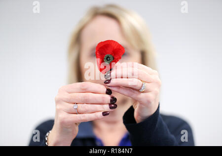 Ein Royal British Legion Mitarbeiter hält eine Mohnblume, die geglaubt werden, um Zeit vor dem Zweiten Weltkrieg, nach einem Feld der Mohnblumen wurden in einem alten Koffer in Cardiff eine Woche vor dem Waffenstillstand Tag gefunden. Stockfoto