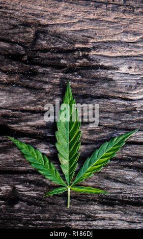 Marihuana joint weed Rauchen schließen bis auf den Hintergrund Stockfoto