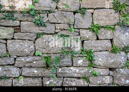 Eine Mauer aus großen Steinen in verschiedenen Größen mit grünen Pflanzen. Griechenland Stockfoto