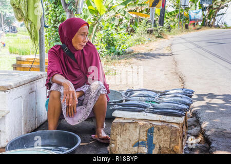 Indonesische Frau verkaufen Fisch auf den Straßen von Balai Gili, Indonesien Stockfoto