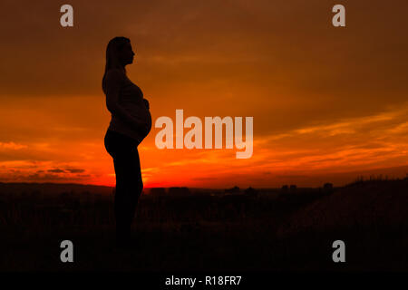 Silhouette der schwangeren Frau genießt die Zeit im Freien. getönten Bild. Stockfoto