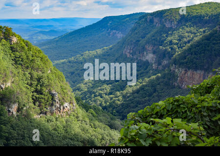 Cloudland Canyon State Park im Nordosten von Georgia, USA, bietet Meilen von Wanderwegen, schöne Aussicht auf die Berge, und mehrere malerische Wasserfälle. Stockfoto