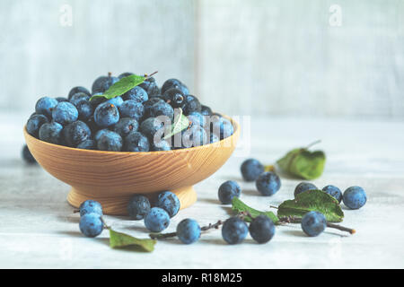 Herbst Ernte blau Schlehe auf hellem Holztisch Hintergrund. Kopieren Sie Platz. Natürliches Heilmittel Stockfoto