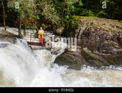 Aufregung bei skelwith Kraft, inmitten der tosenden Torrent des Flusses Brathay, Lake District, Cumbria, Großbritannien Stockfoto