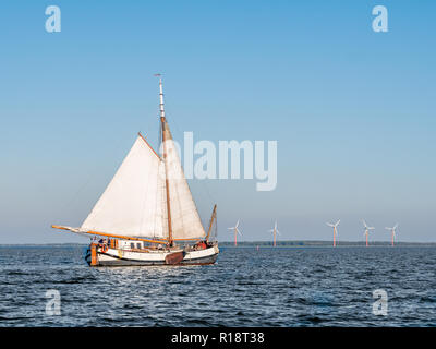 Leute segeln auf traditionellen sail Barge tjalk am Markermeer, Niederlande Stockfoto