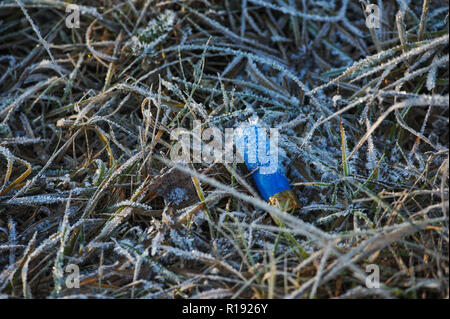 Kunststoffhülse Jagd Patrone in das Gras auf dem Feld, bedeckt mit Frost von Feuchtigkeit und Frost. Stockfoto