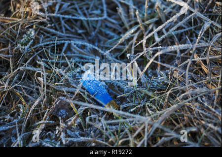 Kunststoffhülse Jagd Patrone in das Gras auf dem Feld, bedeckt mit Frost von Feuchtigkeit und Frost. Stockfoto