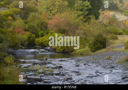 Lillas Fluss in der Tejera Negra Naturpark, Provinz Guadalajara, Spanien Stockfoto