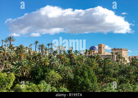 Die große Wolke über der Basilika de Santa Maria und dem Parc Municipal El Palmeral Elche wunderschöne malerische Aussicht Palmen in Elche Costa Blanca Spanien Europa Stockfoto