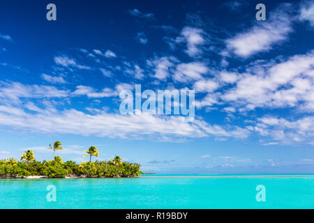 Kokosnuss Palmen säumen den Strand auf einem Fuß Insel Aitutaki, Cook Inseln. Stockfoto