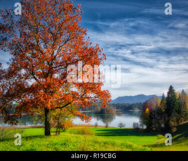 DE - Bayern: ruhige Szene am Ostersee (See) in der Nähe von Iffeldorf Stockfoto