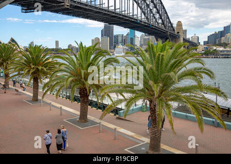 Blick auf die Sydney Harbour Bridge und Sydney Stadtbild von Milsons Point, Sydney, Australien Stockfoto