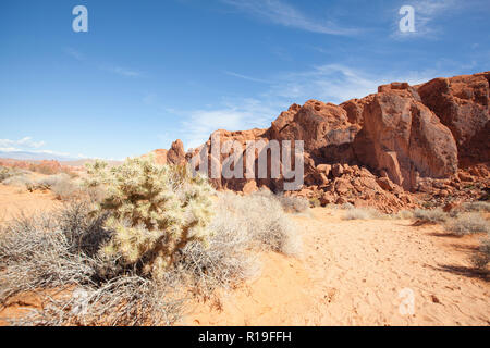 Roter Sandstein Felsformationen im Valley of Fire State Park Nevada in USA Stockfoto