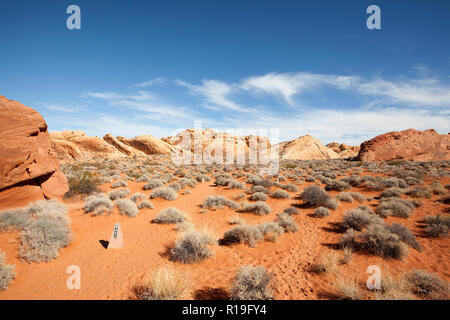 Die Rainbow Vista Trail im Valley of Fire State Park Nevada ist ein mittelschwerer Wanderweg in den trockenen und heißen Bedingungen Stockfoto