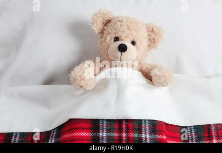 Kinder bedtime. Cute teddy mit einer warmen Decke zugedeckt, Ruhe im Bett Stockfoto