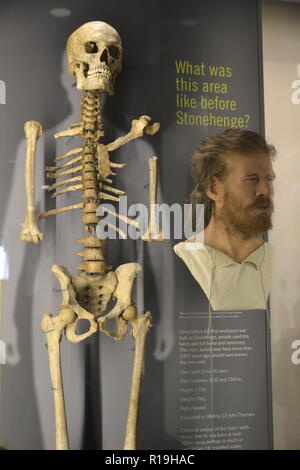 Skelett gefunden in der Nähe von Stonehenge und eine Erholung von dem, was er ausgesehen haben mag, begraben. Ausstellung in Stonehenge Visitor Centre, Wilshire, Großbritannien Stockfoto