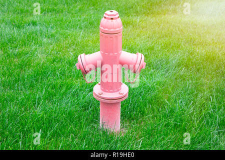 Verblasste rote Hydrant befindet sich in einer frisch gemähtem Gras Feld. Stockfoto