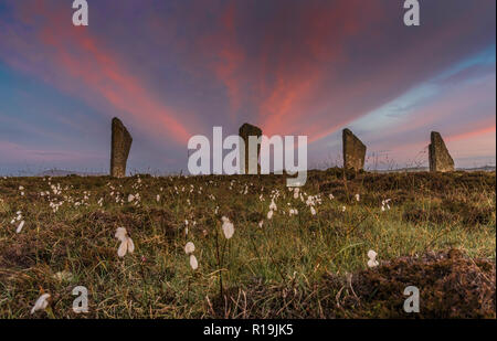 Orkney am Ring von Brodgar neolithische Menhire, Steinkreis, Sommersonnenwende. Stockfoto