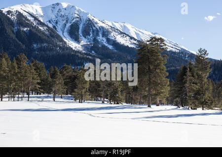 Winter Panorama der Berge, Täler und Wälder. Kaukasus. Landschaft mit hohen Gipfeln, die bei gutem Wetter. Das Konzept der Reisen und Freizeit Winter Stockfoto