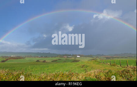 Skibbereen, West Cork, Irland, 10. November 2018. Heller Sonnenschein und Unwettern den ganzen Tag über West Cork mit milden Temperaturen bis zu 11 Grad Celsius. Glück für einige ein Regenbogen Formulare über das Bauernhaus und berührt in seinem Gebiet. Credit: aphperspective/Alamy leben Nachrichten Stockfoto