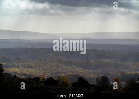 Nutley, East Sussex, UK. 10. November 2018. Herbst Farben leuchten durch Während wechselhafter Witterung im Ashdown Forest, East Sussex. © Peter Cripps/Alamy leben Nachrichten Stockfoto