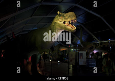 Malaga, Malaga, Spanien. 10 Nov, 2018. Ein großes Replikat eines Dinosauriers ist während der DINO Expo XXL gesehen. Die Ausstellung in zwei Perioden (Dinosaurier Alter und Ice Age), mehr als 100 verschiedene animierte Dinosaurier Repliken von 12 Meter messen, mit Mechanismus der Bewegung und Ton unterteilt ist. Das Projekt mit Zahlen der Dinosaurier, die Replikate auf real Scale, haben den Zweck, die bekannte Details der Dinosaurier zu machen Alter, wenn sie auf der Erde niederlassen. Credit: Jesus Merida/SOPA Images/ZUMA Draht/Alamy leben Nachrichten Stockfoto