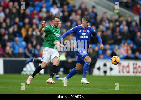 Cardiff, Großbritannien. 10 Nov, 2018. Callum Paterson von Cardiff City macht eine Pause. Premier League match, Cardiff City v Brighton & Hove Albion in Cardiff City Stadion am Samstag, den 10. November 2018. Dieses Bild dürfen nur für redaktionelle Zwecke verwendet werden. Nur die redaktionelle Nutzung, eine Lizenz für die gewerbliche Nutzung erforderlich. Keine Verwendung in Wetten, Spiele oder einer einzelnen Verein/Liga/player Publikationen. pic von Andrew Obstgarten/Andrew Orchard sport Fotografie/Alamy Live news Credit: Andrew Orchard sport Fotografie/Alamy leben Nachrichten Stockfoto