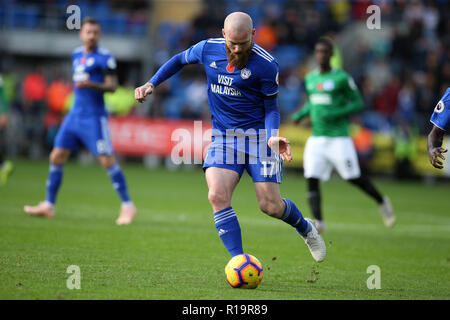 Cardiff, Großbritannien. 10 Nov, 2018. Aron Gunnarsson von Cardiff City in Aktion. Premier League match, Cardiff City v Brighton & Hove Albion in Cardiff City Stadion am Samstag, den 10. November 2018. Dieses Bild dürfen nur für redaktionelle Zwecke verwendet werden. Nur die redaktionelle Nutzung, eine Lizenz für die gewerbliche Nutzung erforderlich. Keine Verwendung in Wetten, Spiele oder einer einzelnen Verein/Liga/player Publikationen. pic von Andrew Obstgarten/Andrew Orchard sport Fotografie/Alamy Live news Credit: Andrew Orchard sport Fotografie/Alamy leben Nachrichten Stockfoto